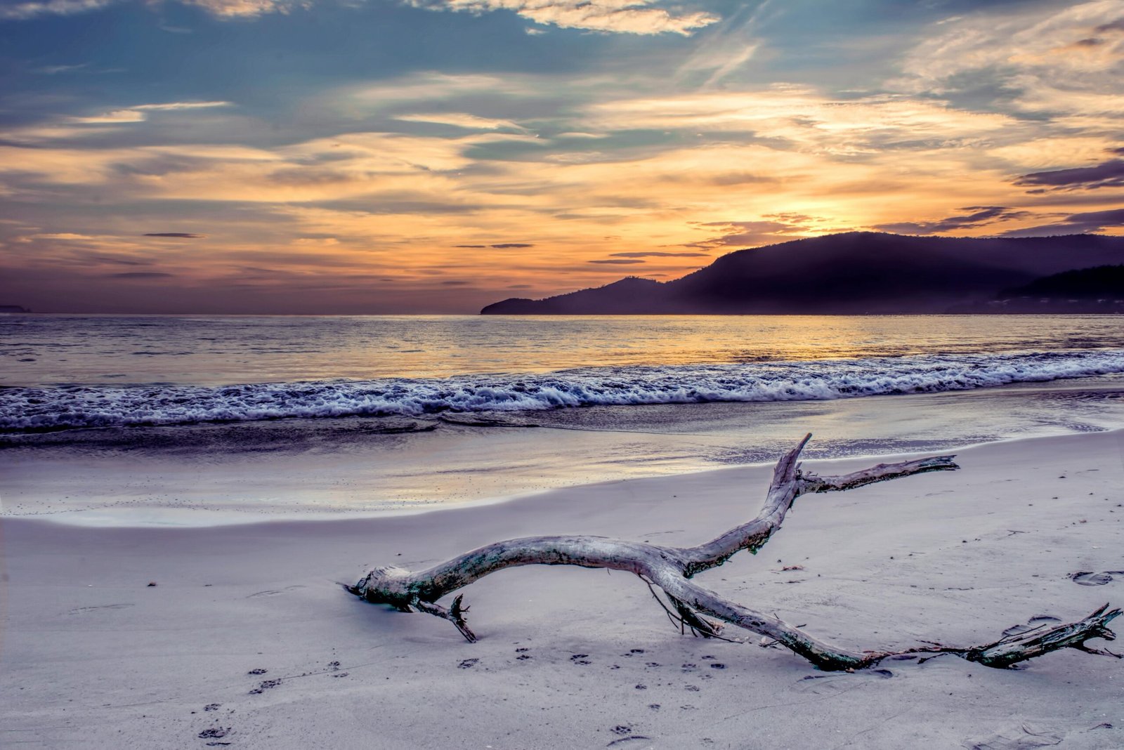 Peaceful sunset at Adventure Bay, Tasmania with driftwood on the sandy shore.